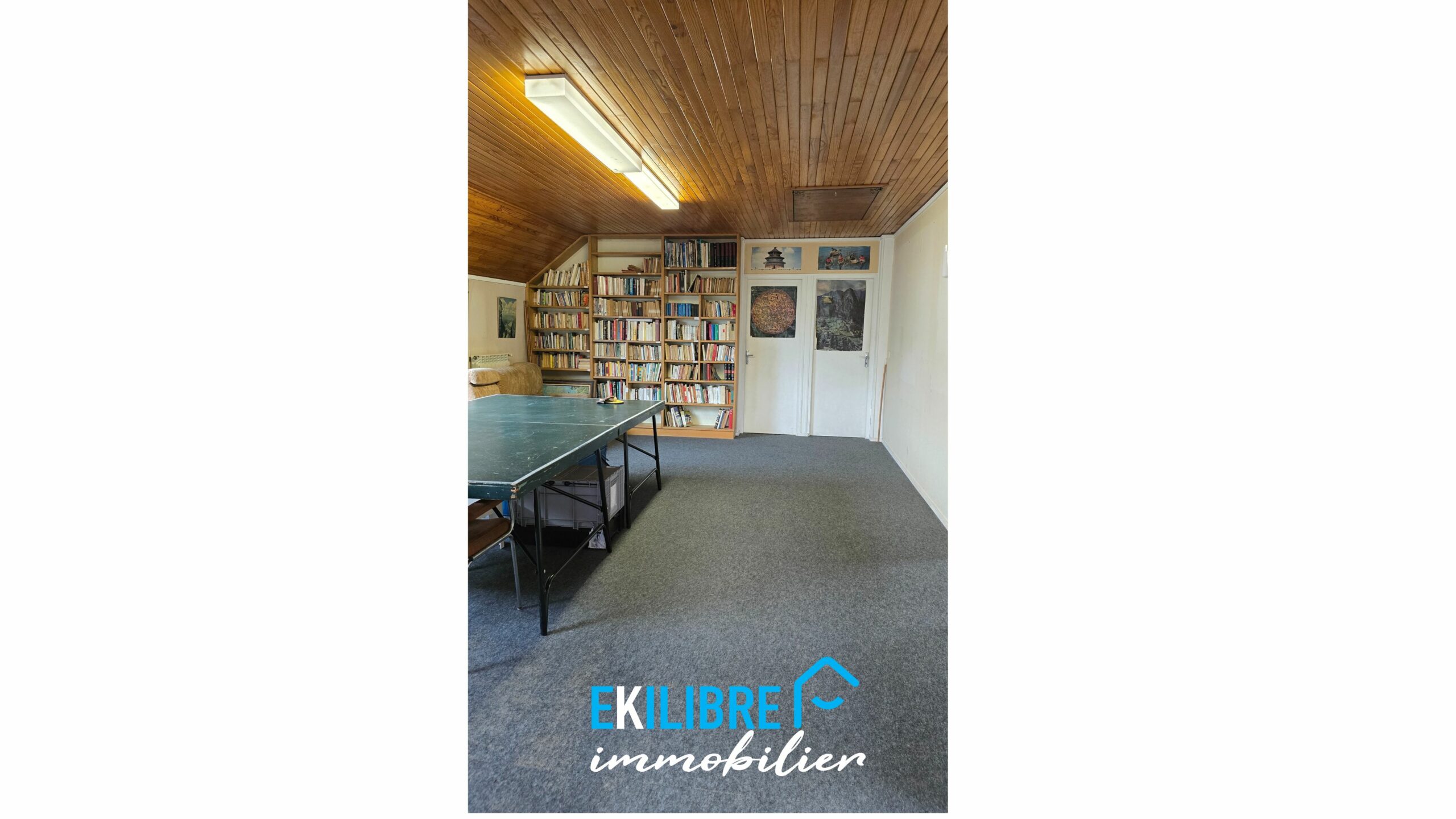 A vendre maison Barberaz Chambéry Savoie vue 3