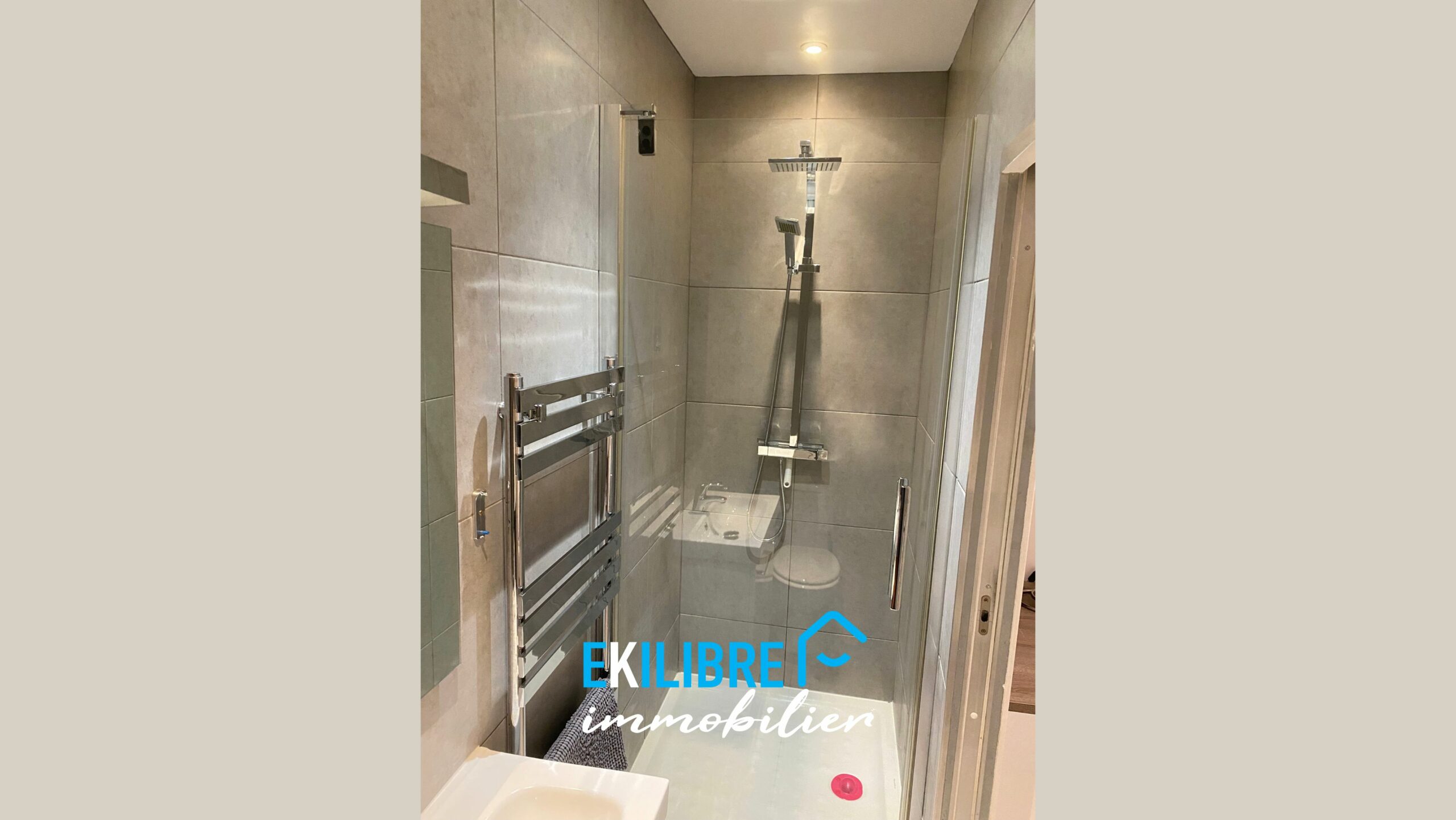A vendre appartement type T4 investisseur Lyon vue 10