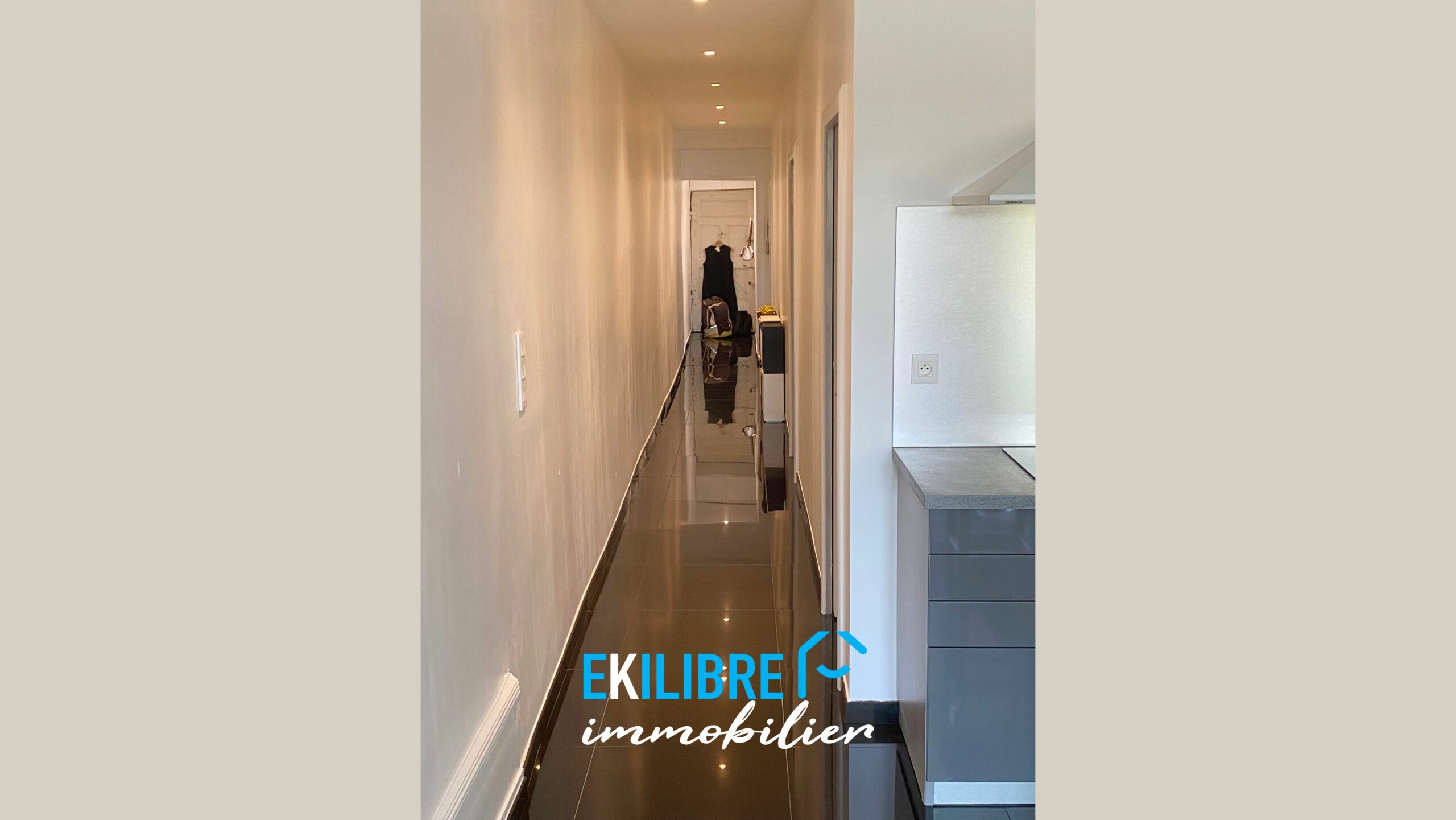 A vendre appartement type T4 investisseur Lyon vue 12