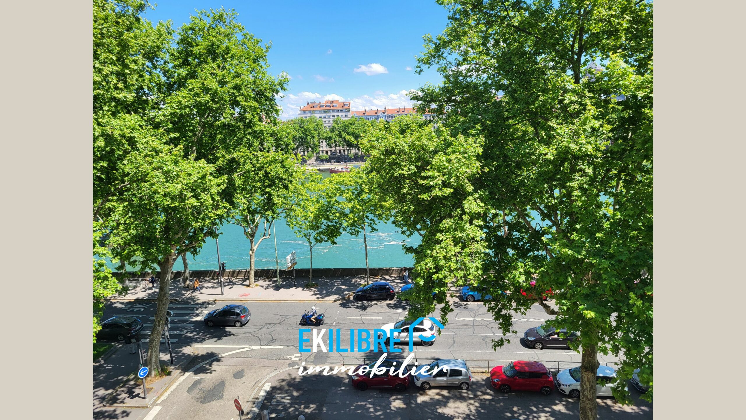A vendre appartement type T4 investisseur Lyon vue 13