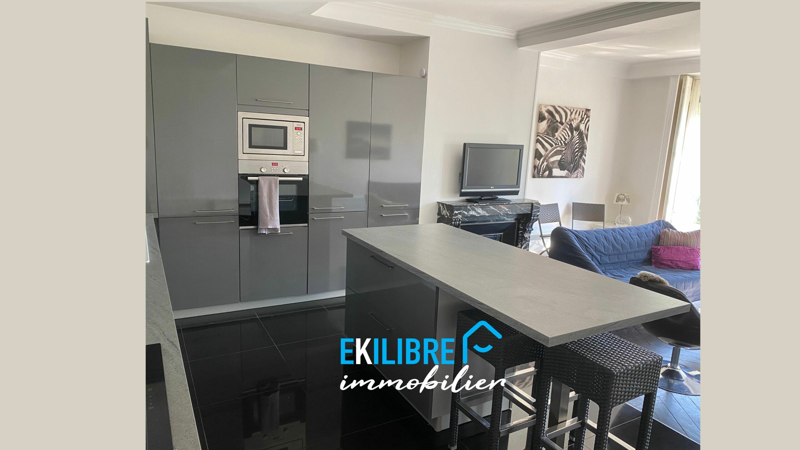 A vendre appartement type T4 investisseur Lyon vue 2