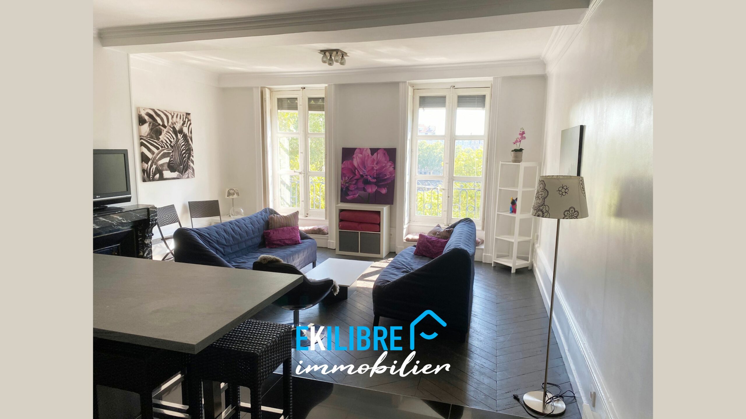 A vendre appartement type T4 investisseur Lyon vue 4