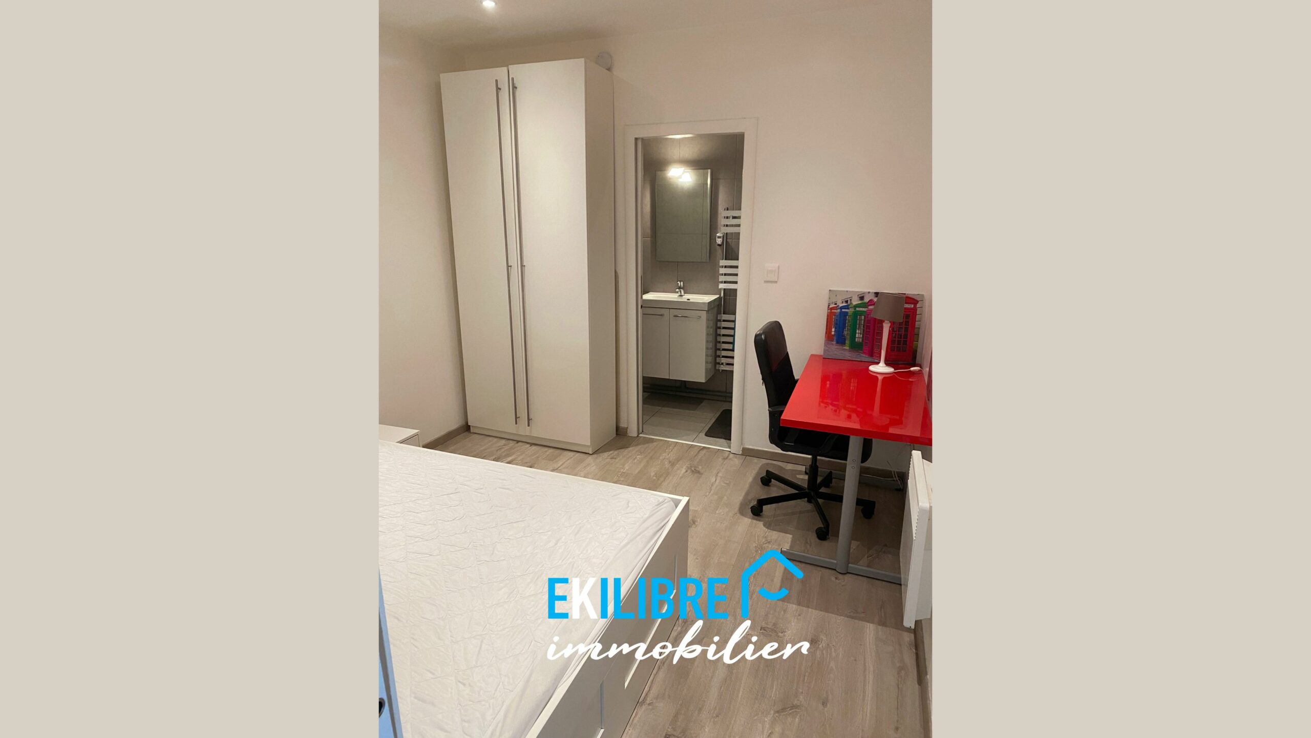 A vendre appartement type T4 investisseur Lyon vue 9