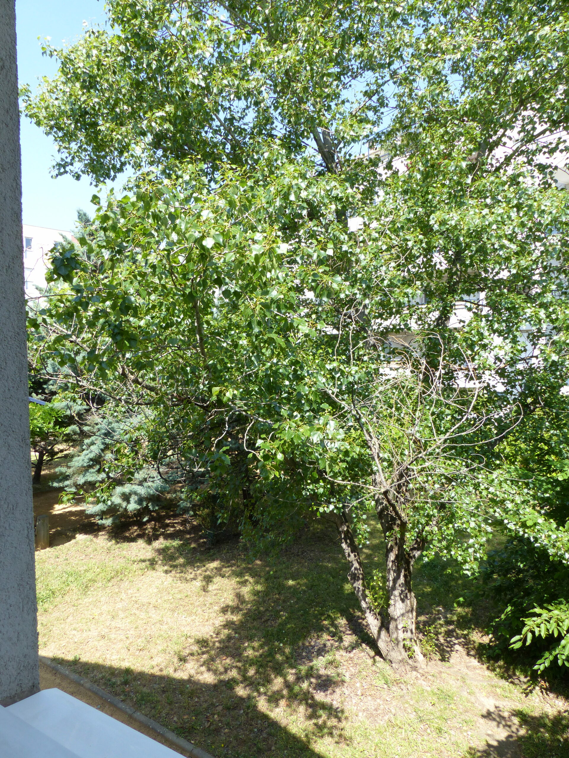 A louer T2 avec balcon 42m² avec cave et garage Lyon 7