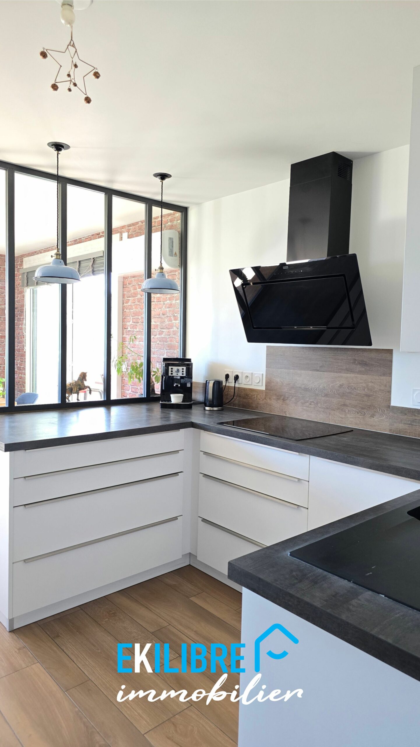 A vendre appartement T4 garage vue montagnes Jacob-Bellecombette vue 21