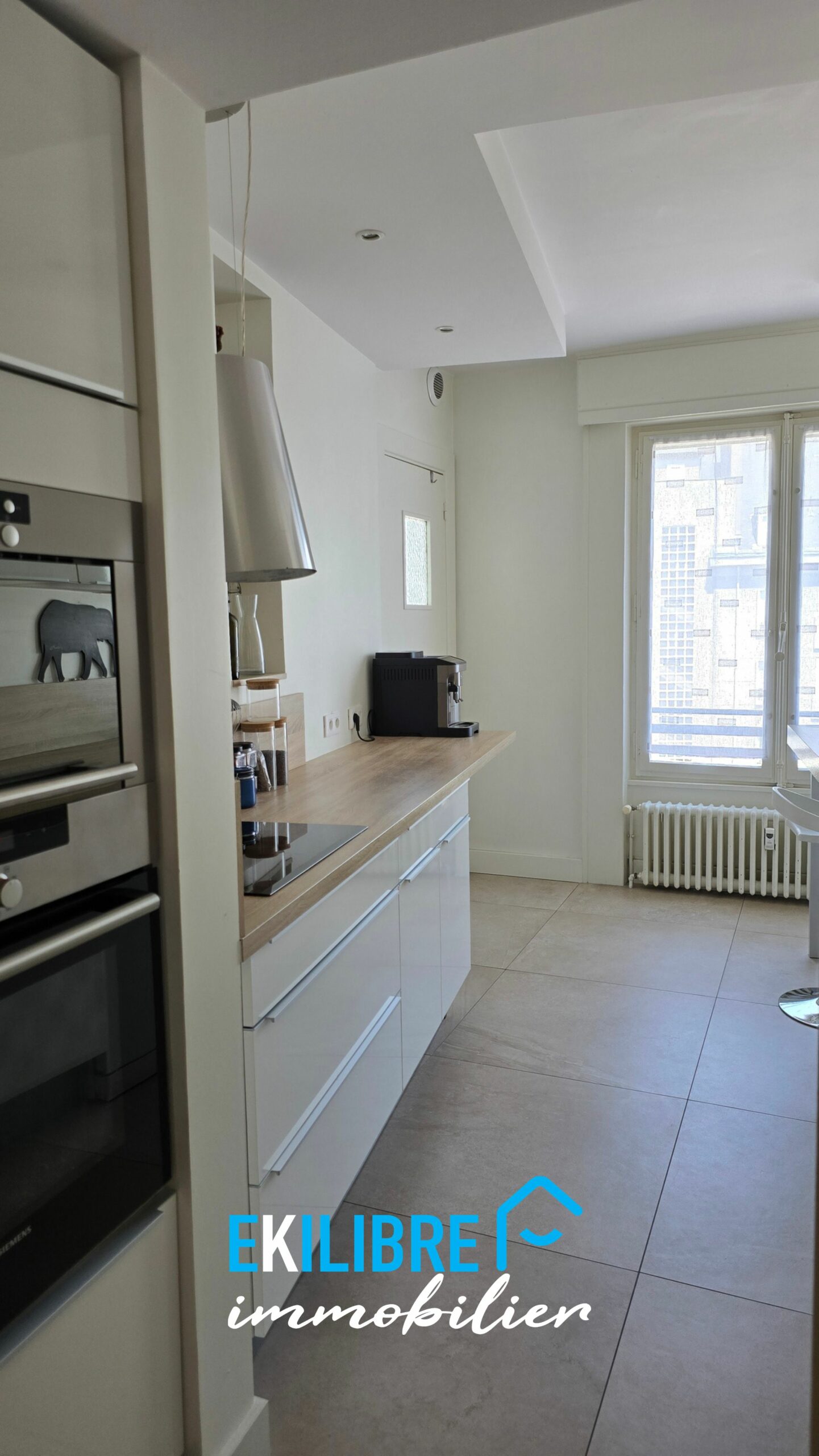 A vendre appartement T4 Chambéry centre ville vue chateau et massifs 10