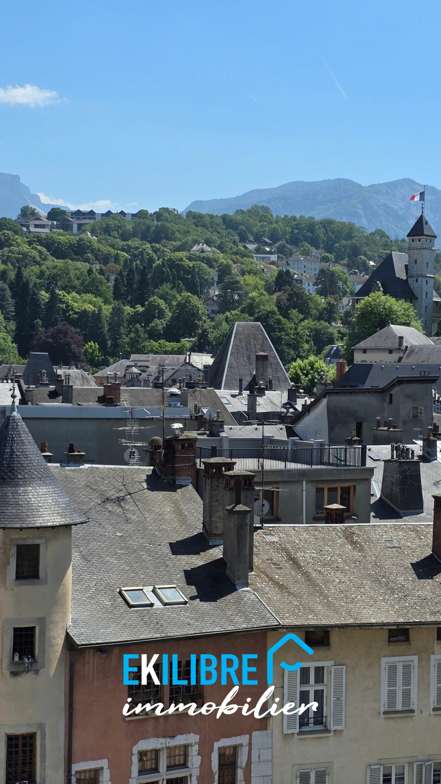 A vendre appartement T4 Chambéry centre ville vue chateau et massifs 4