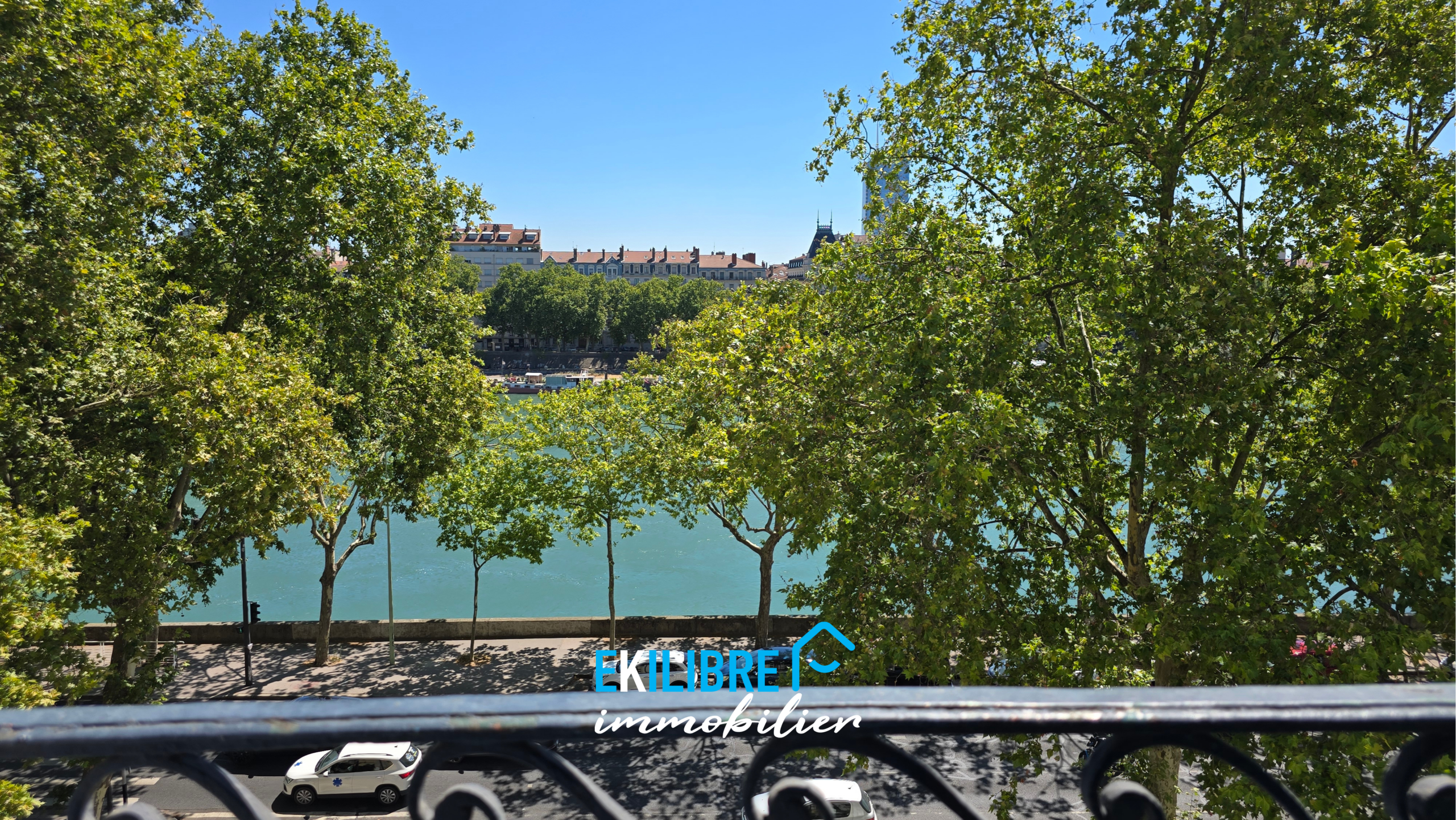 A vendre appartement T4 rénové étudiant investisseur Lyon vue 1