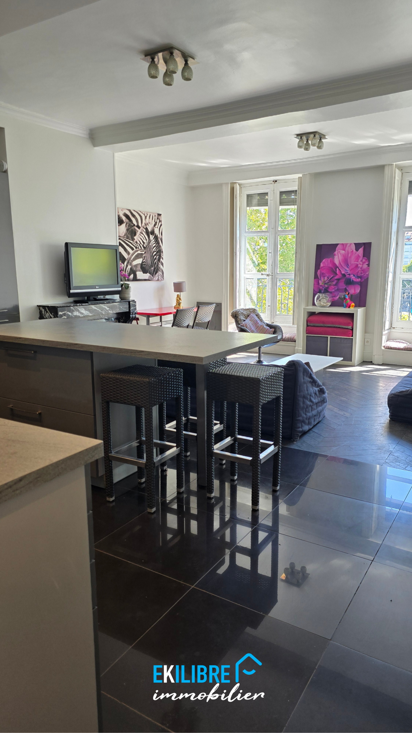 A vendre appartement T4 rénové étudiant investisseur Lyon vue 10