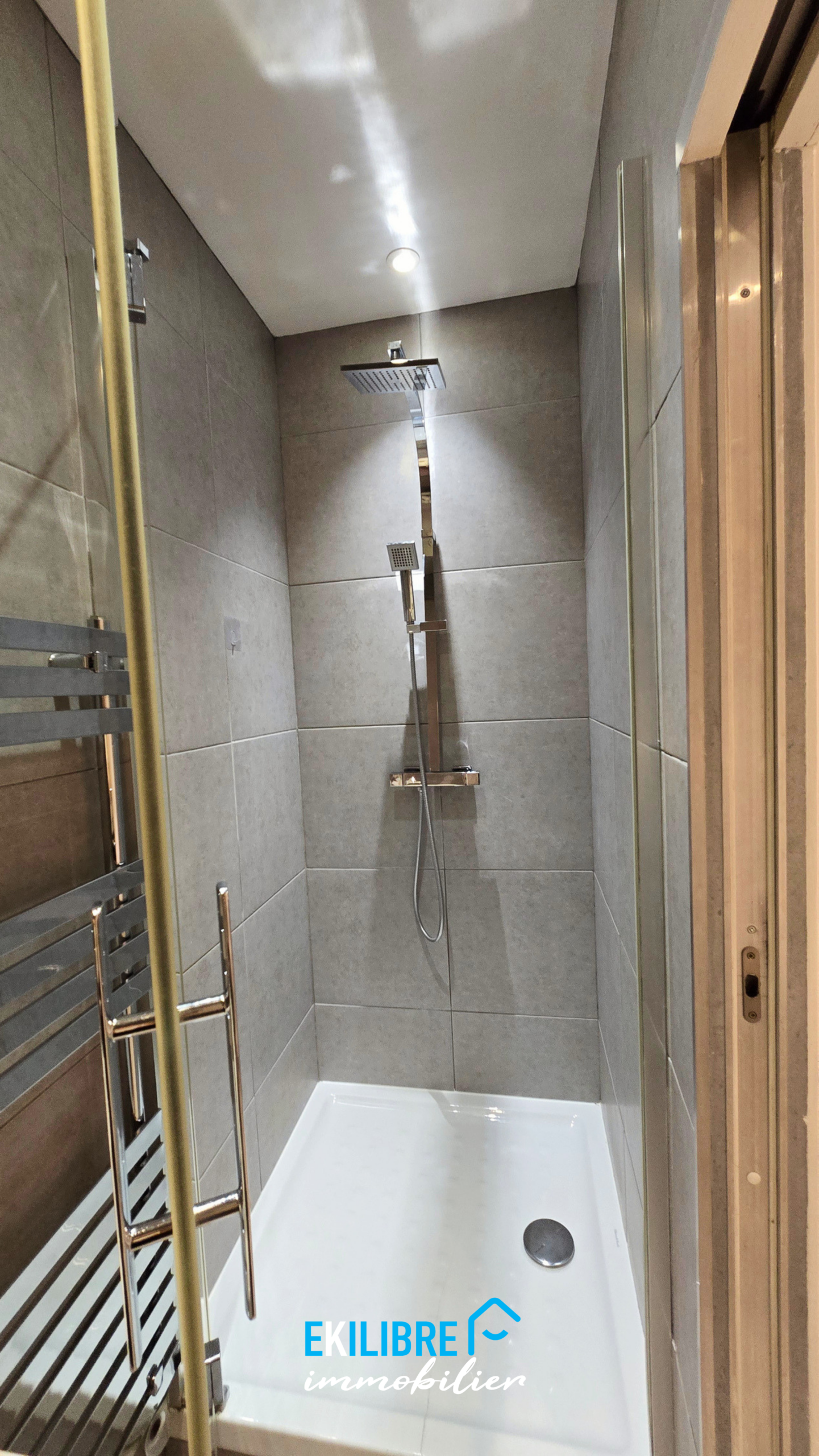 A vendre appartement T4 rénové étudiant investisseur Lyon vue 15