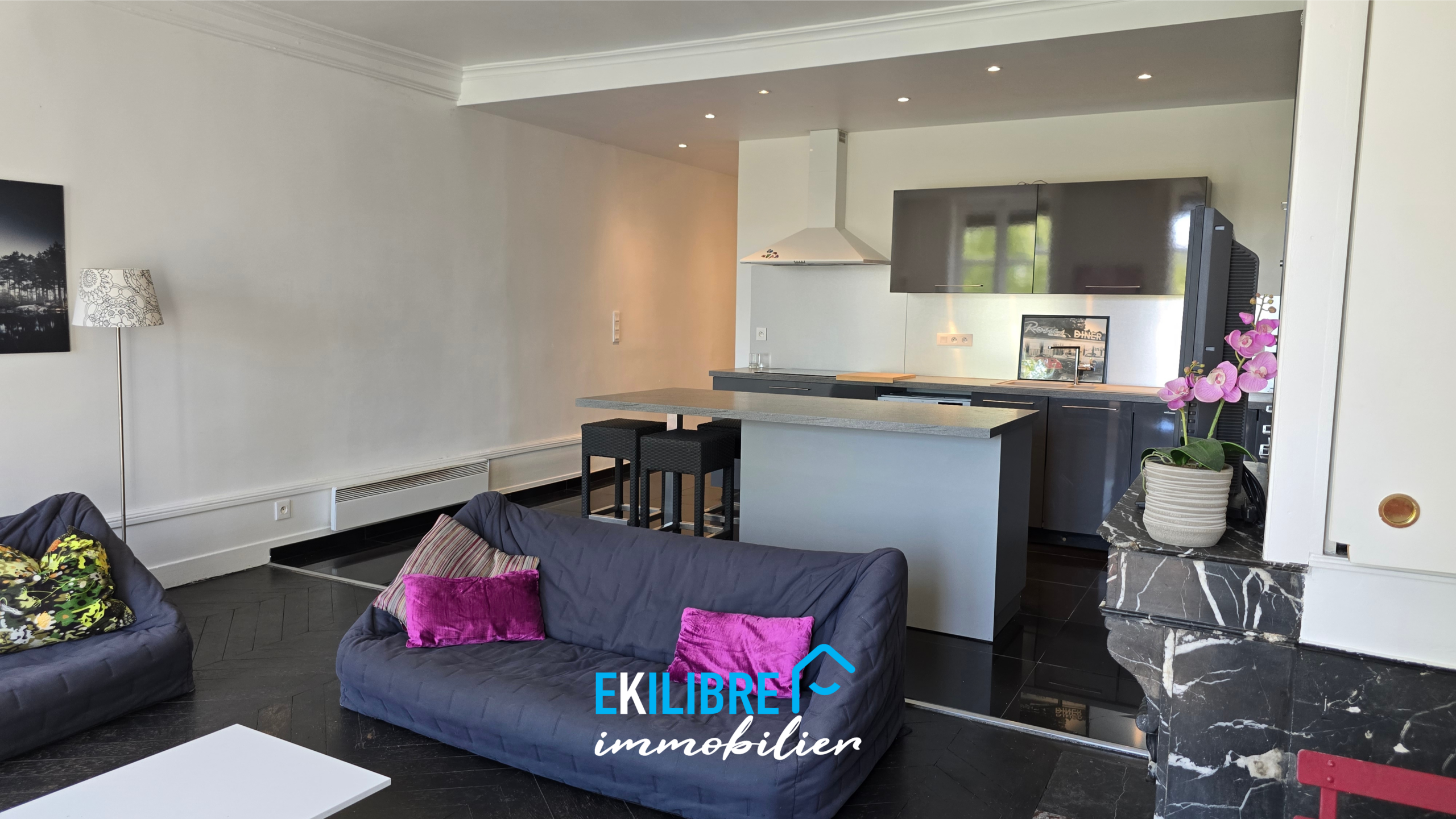 A vendre appartement T4 rénové étudiant investisseur Lyon vue 2