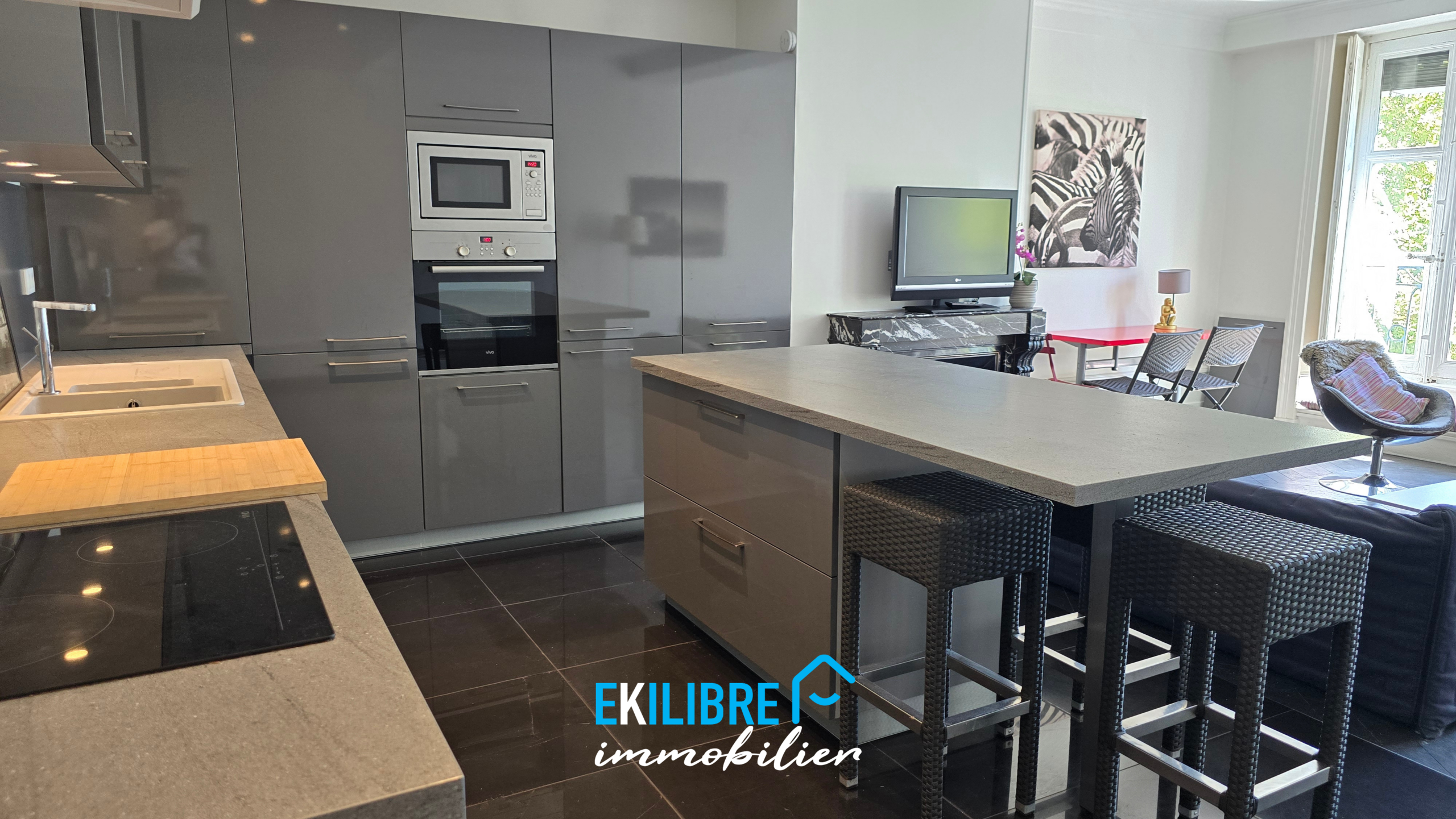 A vendre appartement T4 rénové étudiant investisseur Lyon vue 3