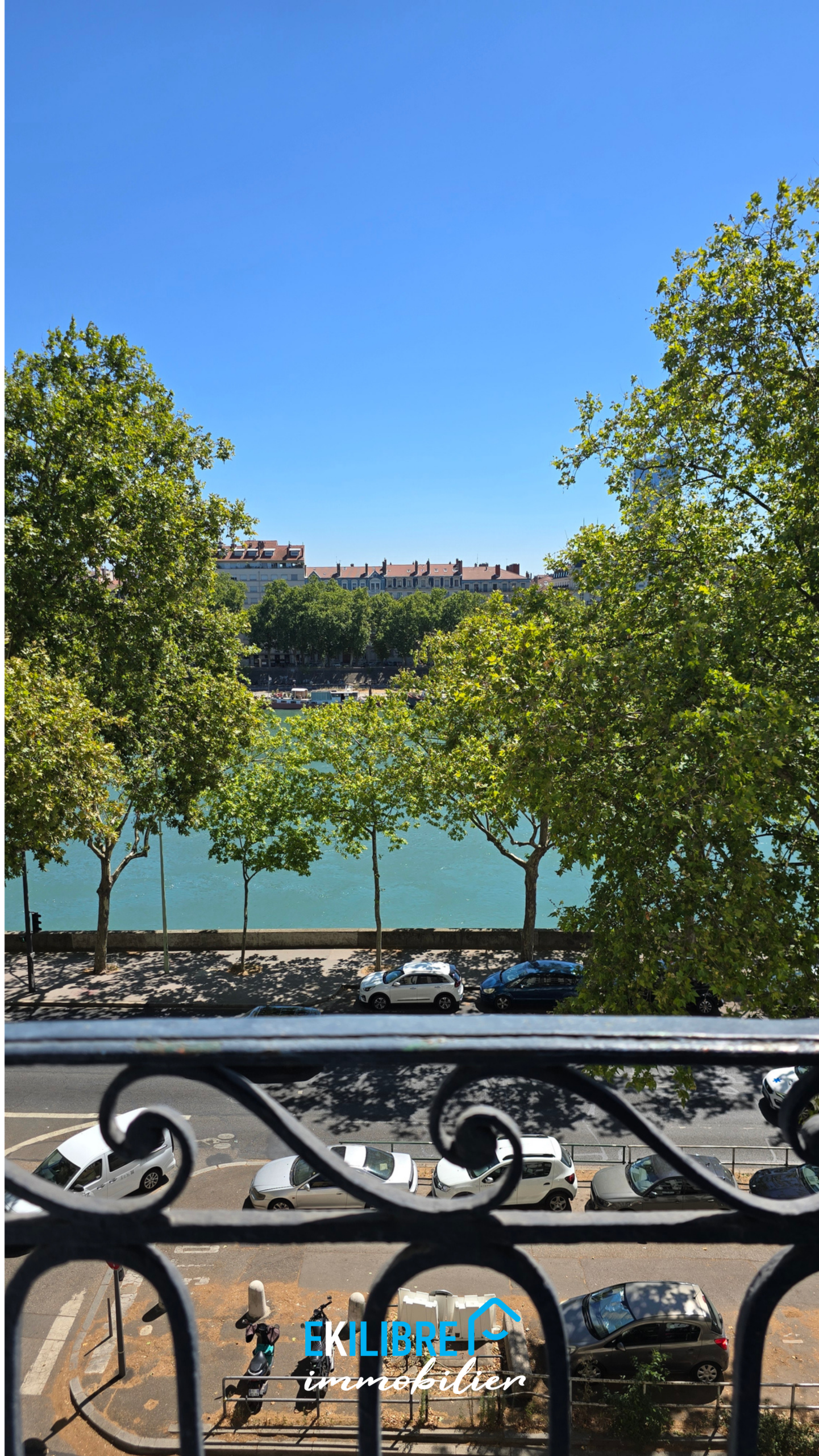 A vendre appartement T4 rénové étudiant investisseur Lyon vue 7