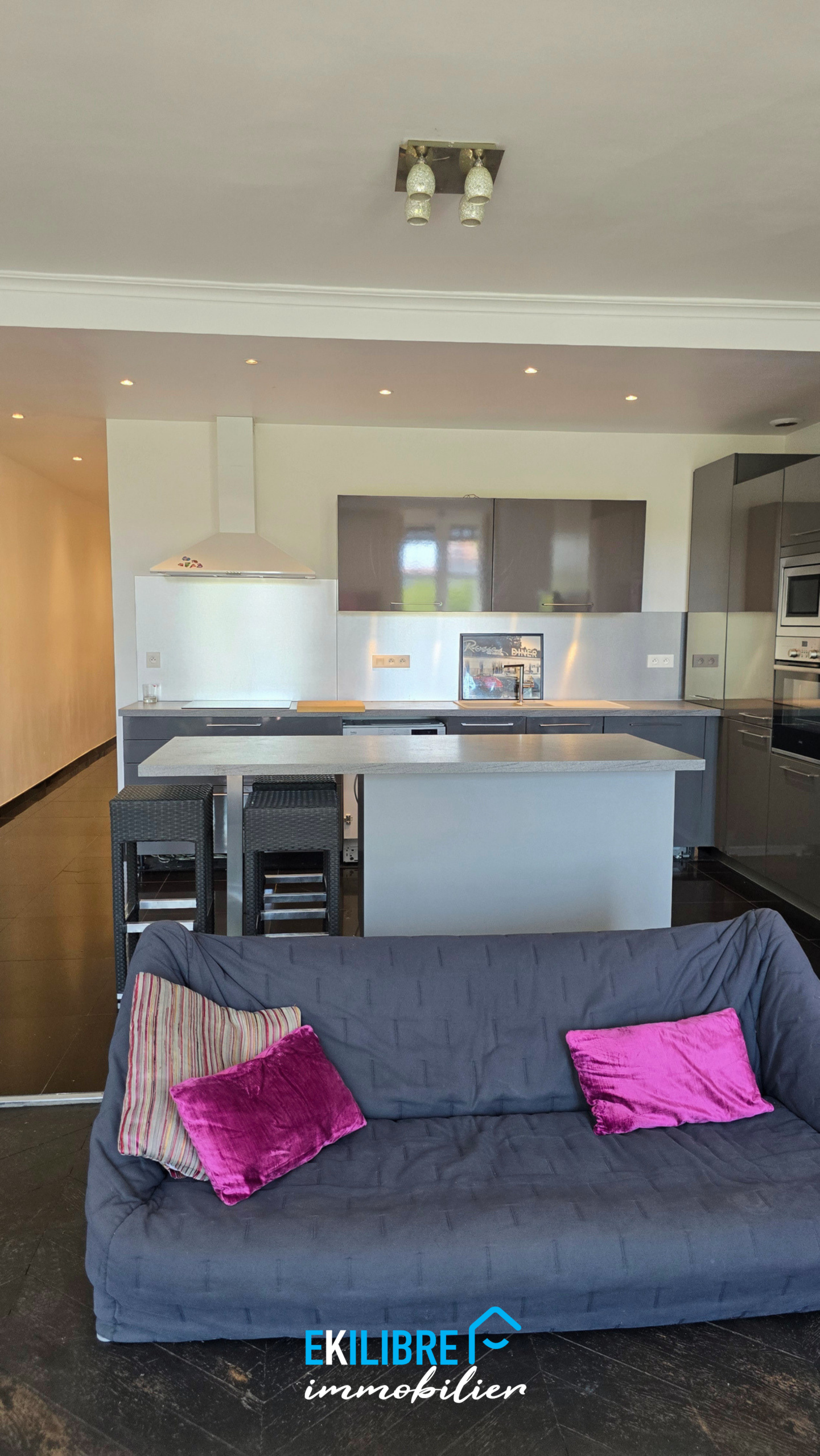 A vendre appartement T4 rénové étudiant investisseur Lyon vue 8