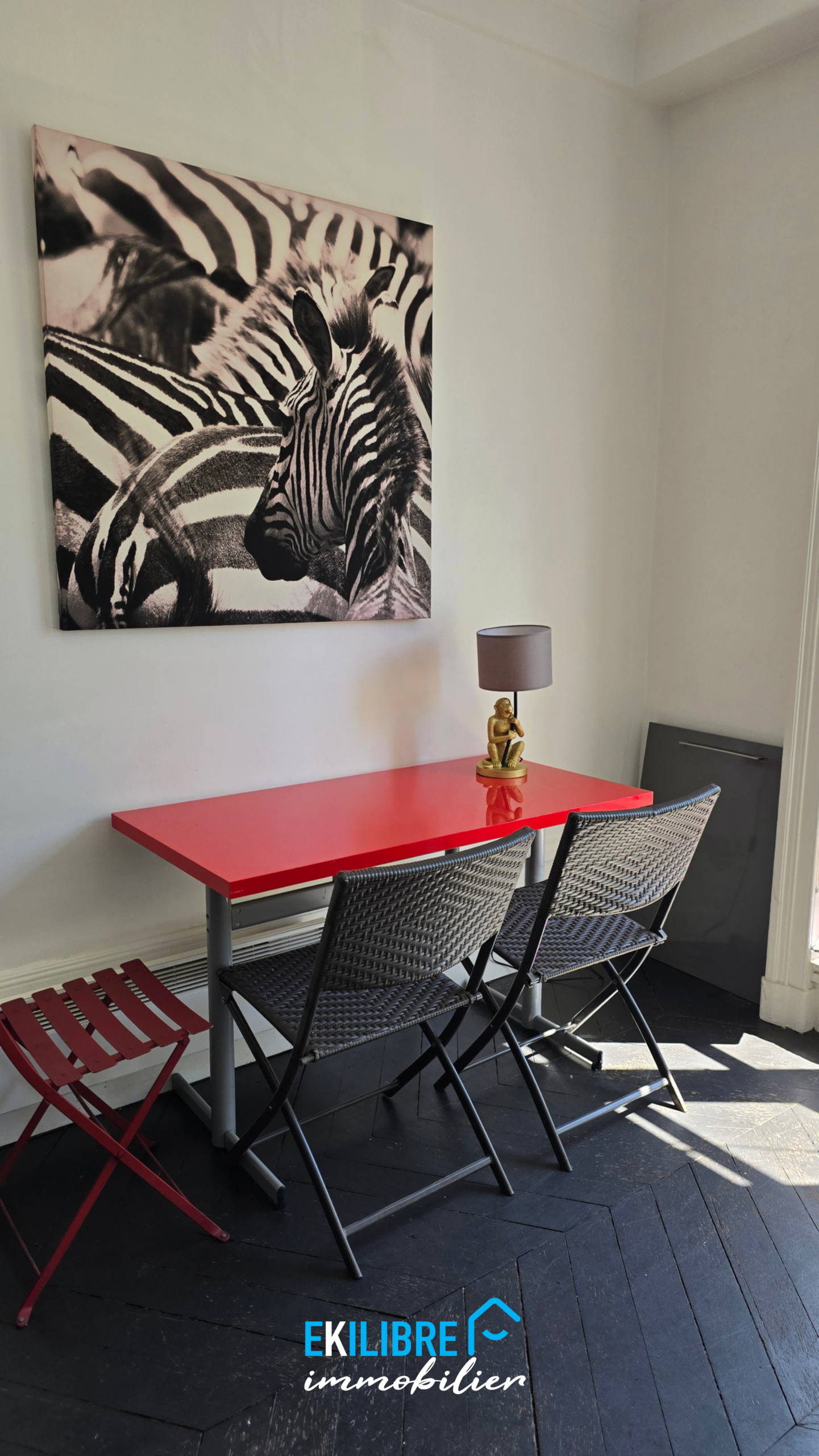 A vendre appartement T4 rénové étudiant investisseur Lyon vue 9