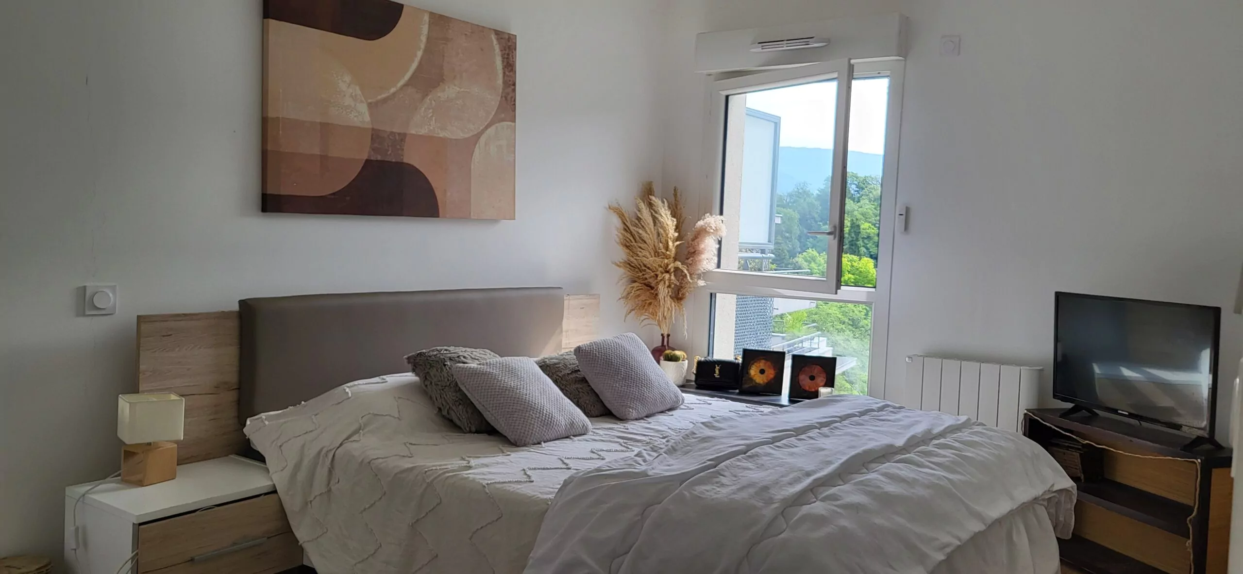 Jacob-Bellecombette appartement T2 terrasse parking vue1