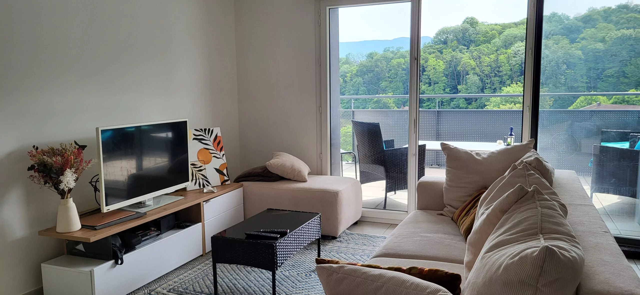 Jacob-Bellecombette appartement T2 terrasse parking vue2