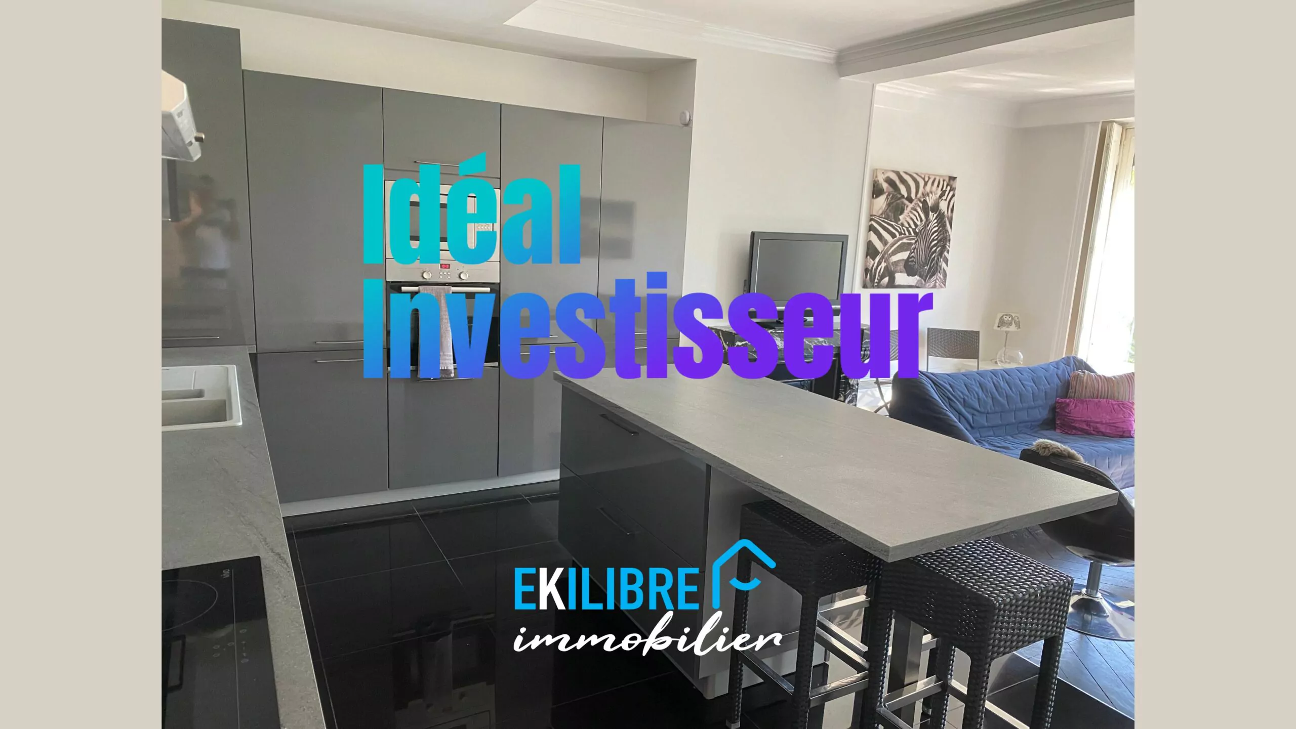 A vendre appartement type T4 investisseur Lyon vue 1